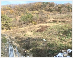  2024Ÿ125496  õ ȭϸ  708      ()