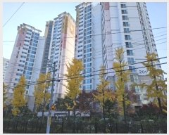  2024Ÿ126567 뱸  ȷ60 7, 201 191902ȣ (3,3ȭũ帲2)    Ʈ