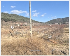  2024Ÿ127317  û  ¸ 499      (1)