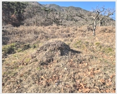  2024Ÿ127317  û  ¸ 499      (1)