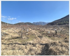  2024Ÿ127317  û  ¸ 499      (1)