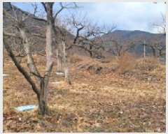  2024Ÿ127317  û  ¸ 499      (1)