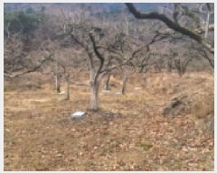  2024Ÿ127317  û  ¸ 499      (1)