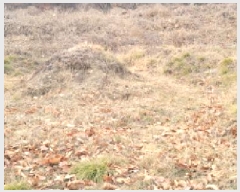  2024Ÿ127317  û  ¸ 499      (1)