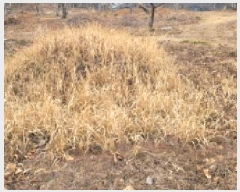  2024Ÿ127317  û  ¸ 499      (1)