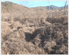  2024Ÿ129054  û û ξ߸ 251-2      ()