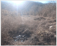  2024Ÿ129054  û û ξ߸ 251-2      ()