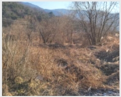  2024Ÿ129054  û û ξ߸ 251-2      ()