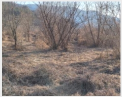  2024Ÿ129054  û û ξ߸ 251-2      ()