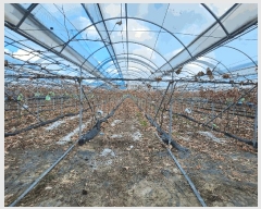  2024Ÿ129146  õ ȭ ȣ 331      ()