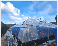  2024Ÿ129146  õ ȭ ȣ 331      ()