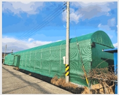  2024Ÿ129146  õ ȭ ȣ 331      ()