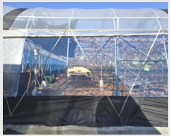  2024Ÿ129146  õ ȭ ȣ 331      ()