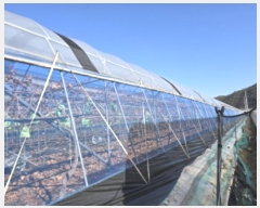  2024Ÿ129146  õ ȭ ȣ 331      ()