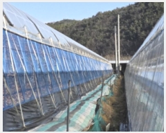  2024Ÿ129146  õ ȭ ȣ 331      ()