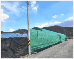  2024Ÿ129146  õ ȭ ȣ 331      ()