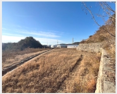  2024Ÿ129344  ĥ ְ 긮 56-23      (Ӿ)