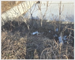  2024Ÿ129344  ĥ ְ 긮 56-23      (Ӿ)