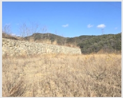  2024Ÿ129344  ĥ ְ 긮 56-23      (Ӿ)