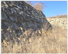  2024Ÿ129344  ĥ ְ 긮 56-23      (Ӿ)