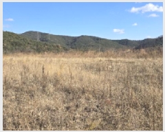  2024Ÿ129344  ĥ ְ 긮 56-23      (Ӿ)