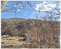  2024Ÿ��129450  �Ӿ߰��