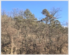  2024Ÿ��129450  �Ӿ߰��