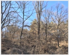  2024Ÿ��129450  �Ӿ߰��