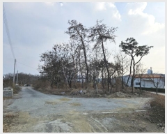  2024Ÿ��129894  �����