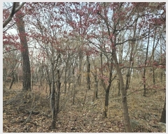  2024Ÿ��129894  �����