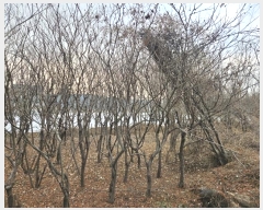  2024Ÿ��129894  �����