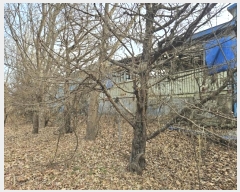  2024Ÿ��129894  �����