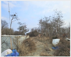  2024Ÿ��129894  �����