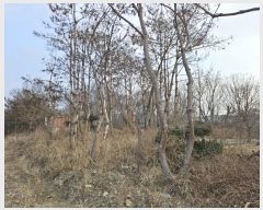  2024Ÿ��129894  �����