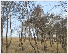  2024Ÿ��129894  �����