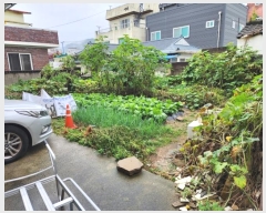  2024Ÿ9341  ĥ ְ ְ 255-67      ()