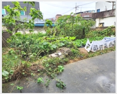  2024Ÿ9341  ĥ ְ ְ 255-67      ()