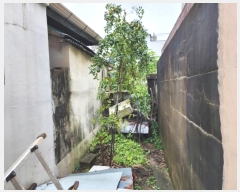  2024Ÿ9341  ĥ ְ ְ 255-67      ()