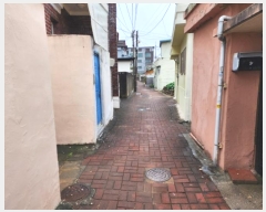  2024Ÿ9341  ĥ ְ ְ 255-67      ()