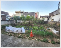  2024Ÿ9341  ĥ ְ ְ 255-67      ()