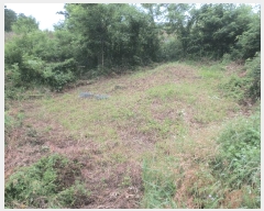  2024Ÿ��9556  �Ӿ߰��