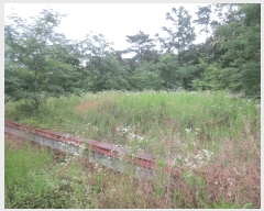  2024Ÿ��9556  �Ӿ߰��