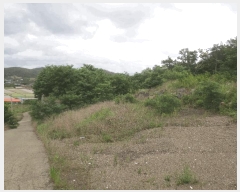  2024Ÿ��9556  �Ӿ߰��