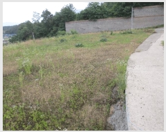  2024Ÿ��9556  �Ӿ߰��