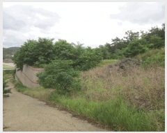  2024Ÿ��9556  �Ӿ߰��