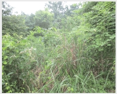  2024Ÿ��9556  �Ӿ߰��