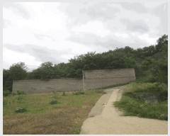  2024Ÿ��9556  �Ӿ߰��