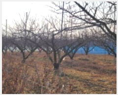  2024Ÿ10839  û ̼  465-2      ()