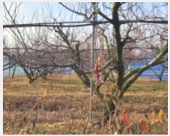  2024Ÿ10839  û ̼  465-2      ()