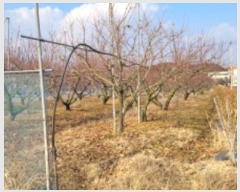  2024Ÿ10839  û ̼  465-2      ()